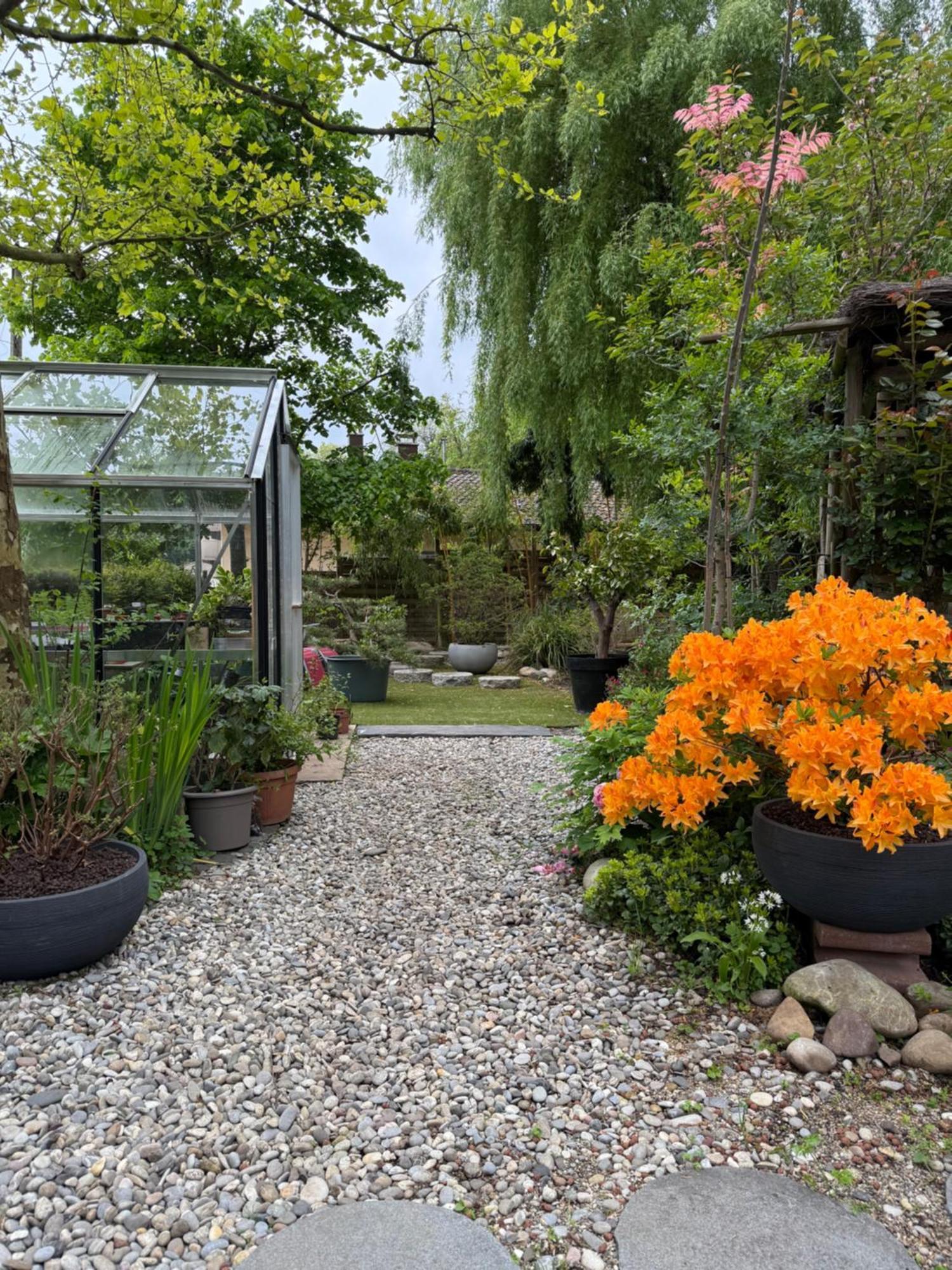 فندق Le Jardin De La Tuilerie Alsace Pfastatt المظهر الخارجي الصورة