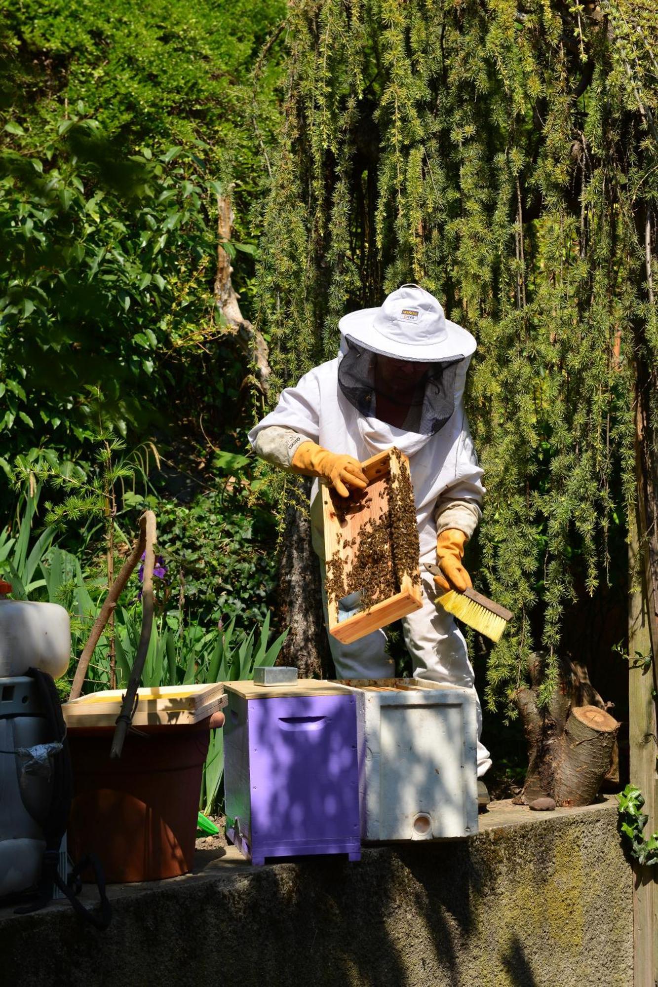 فندق Le Jardin De La Tuilerie Alsace Pfastatt المظهر الخارجي الصورة