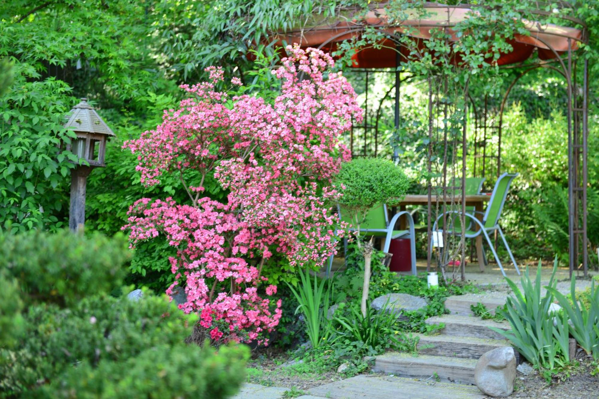 فندق Le Jardin De La Tuilerie Alsace Pfastatt المظهر الخارجي الصورة