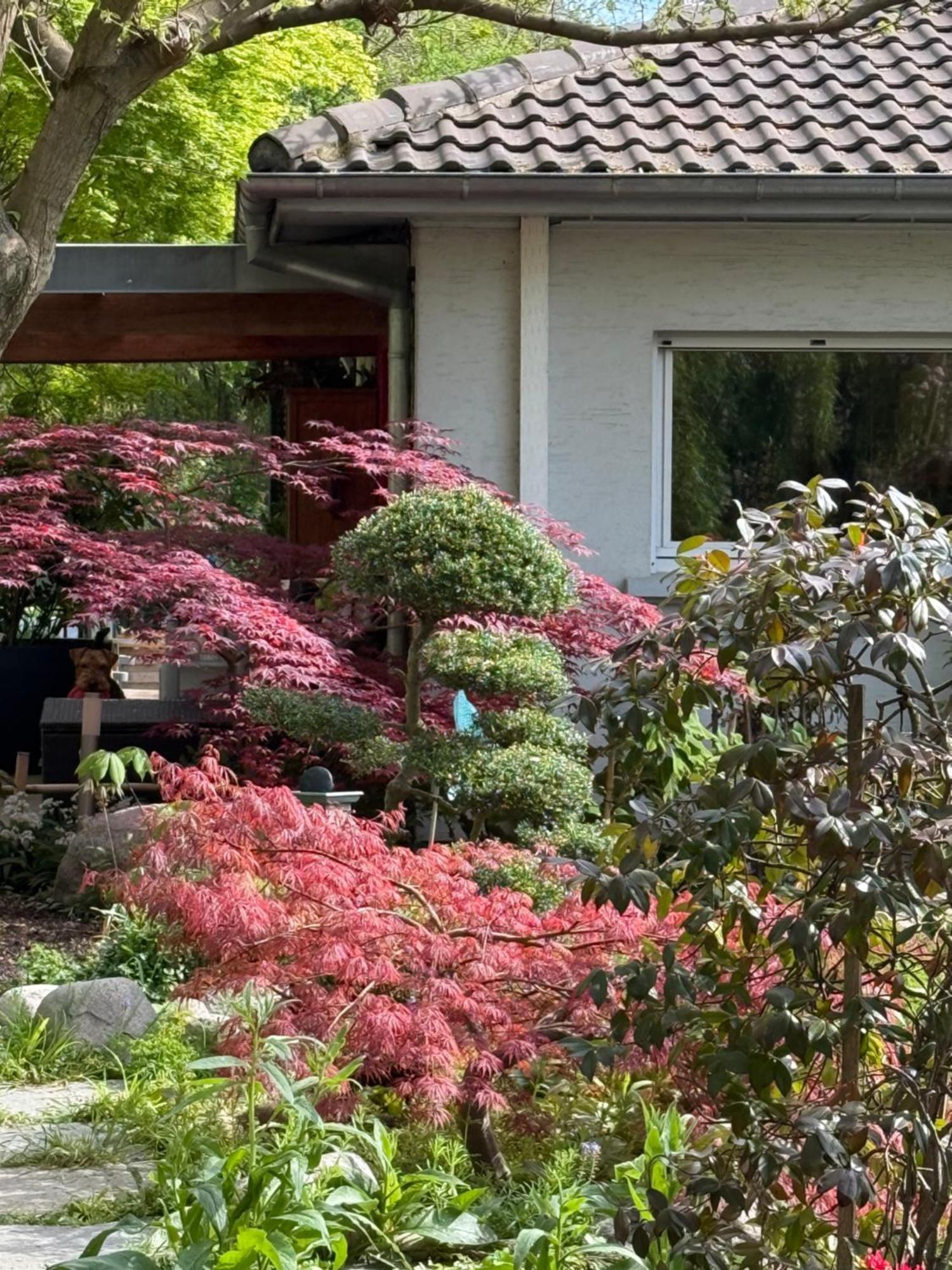 فندق Le Jardin De La Tuilerie Alsace Pfastatt المظهر الخارجي الصورة